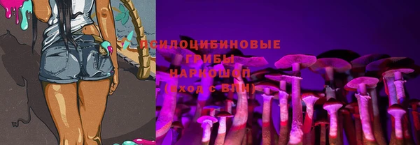 ECSTASY Богородицк
