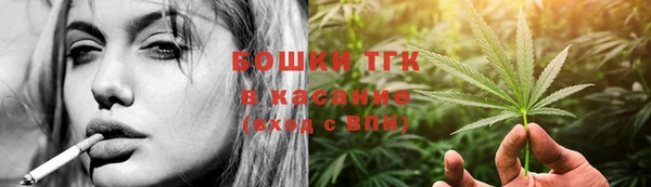 ECSTASY Богородицк