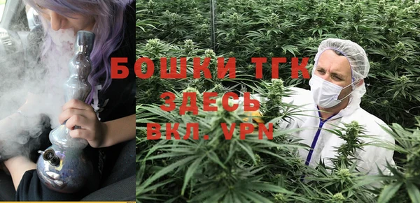 гашик Белоозёрский